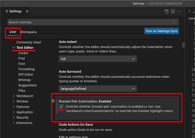 Bracket Pair Colorizationの設定を有効化