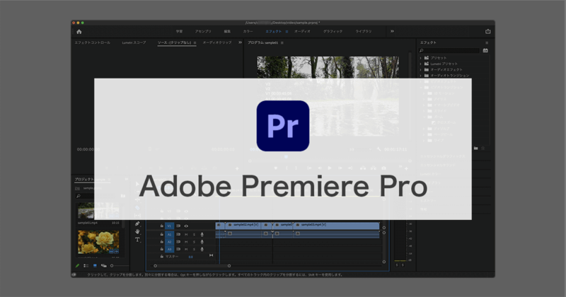 本格的な動画編集ソフト Adobe Premiere Pro CCの簡単な使い方