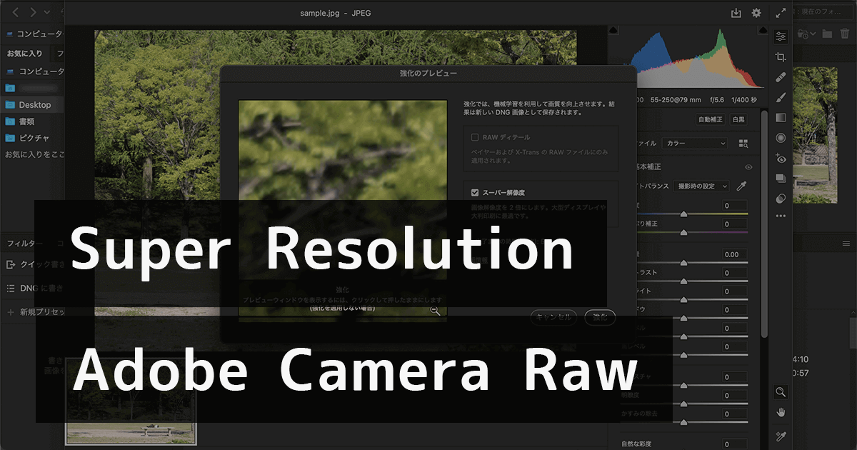 Adobeのスーパー解像度（Super Resolution）機能で劣化させずに画像を拡大