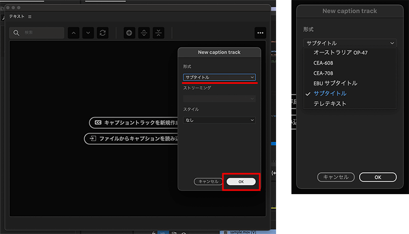 キャプショントラックの形式の設定