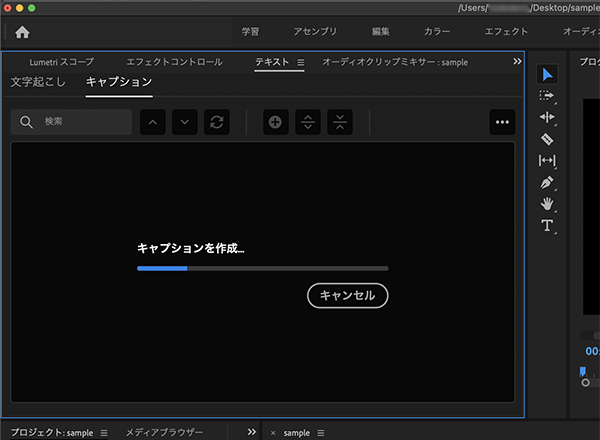 書き起こした文字をキャプションとして作成