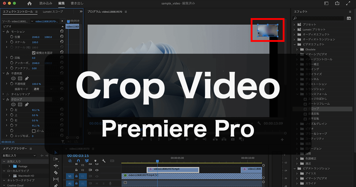 Premiere Proのクロップで動画の表示領域のサイズを変更する Free Style